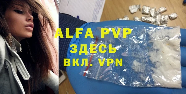 гидра Мурманск