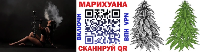 Шишки марихуана гибрид  Бакал 